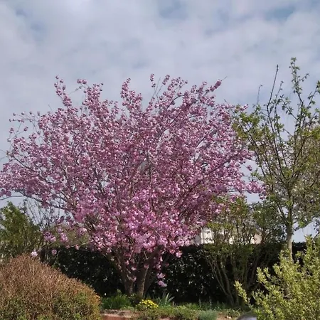 Homestay La Maison Bleue Normande